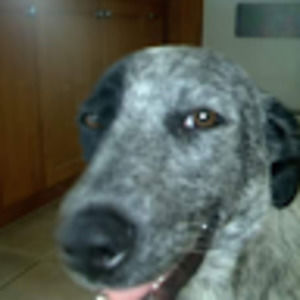 Meet your Posher, M_christine